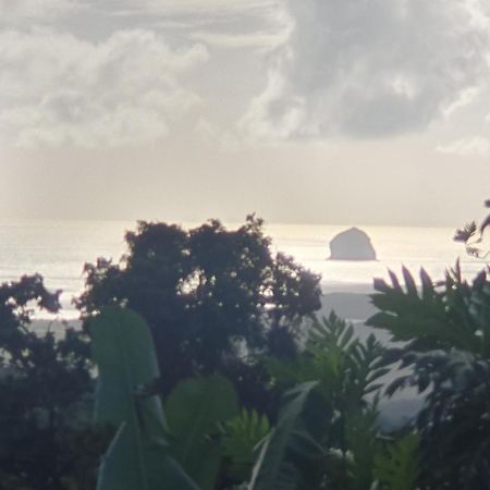 Villa Les Mahoganys Riviere-Salee Bagian luar foto