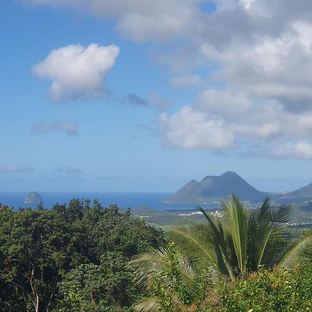 Villa Les Mahoganys Riviere-Salee Bagian luar foto