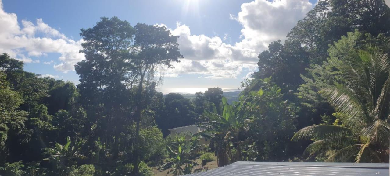 Villa Les Mahoganys Riviere-Salee Bagian luar foto