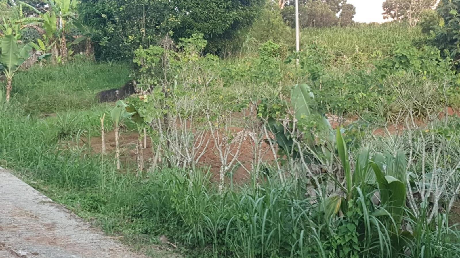 Villa Les Mahoganys Riviere-Salee Bagian luar foto