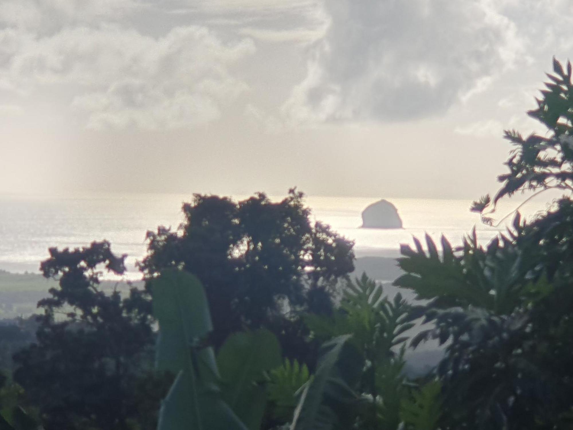 Villa Les Mahoganys Riviere-Salee Bagian luar foto
