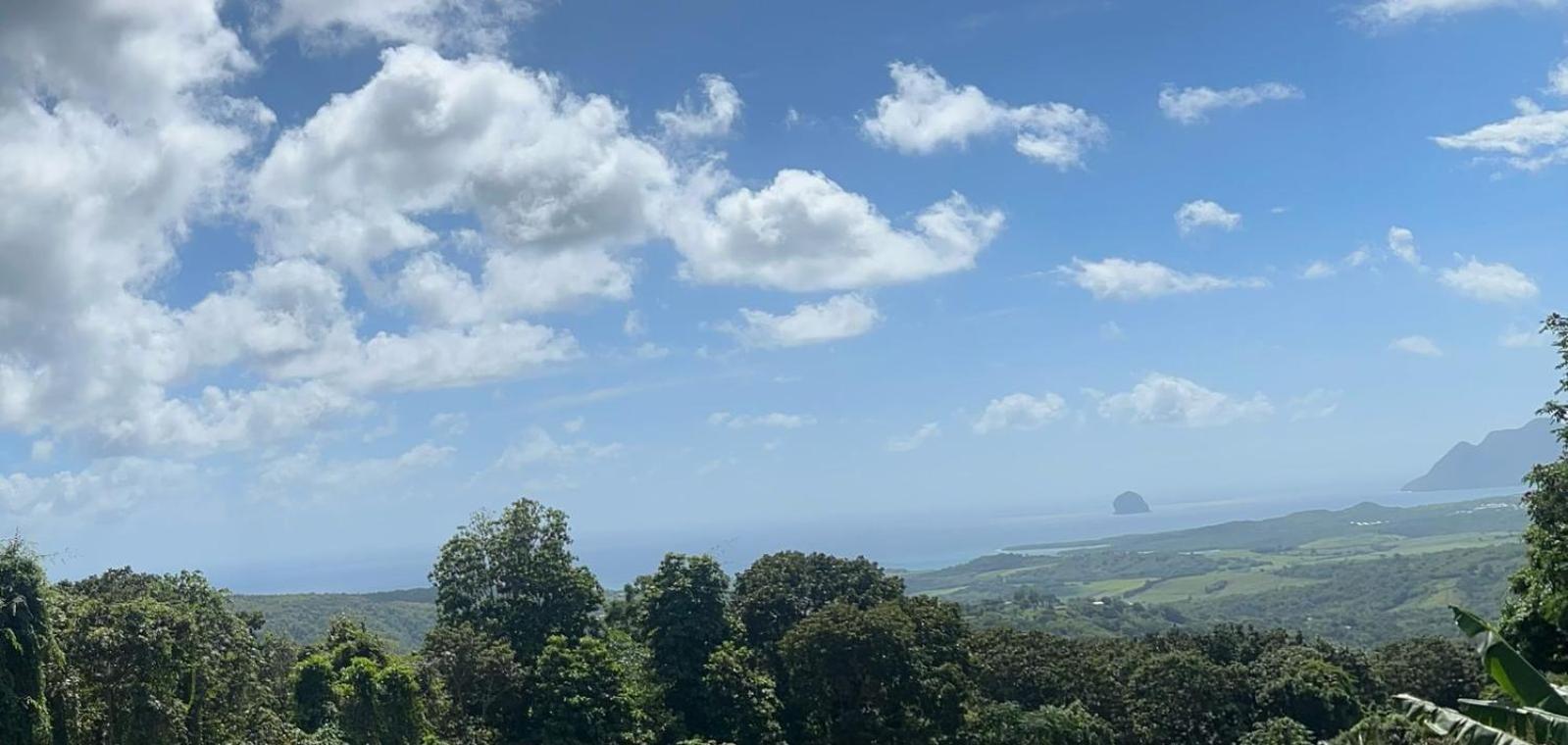 Villa Les Mahoganys Riviere-Salee Bagian luar foto