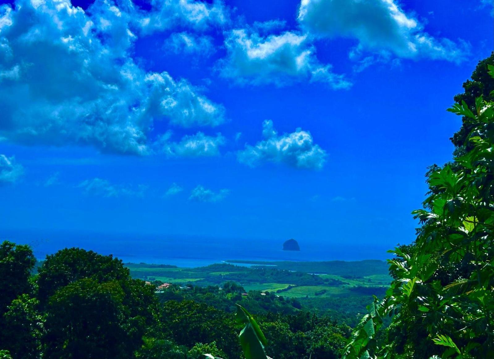 Villa Les Mahoganys Riviere-Salee Bagian luar foto