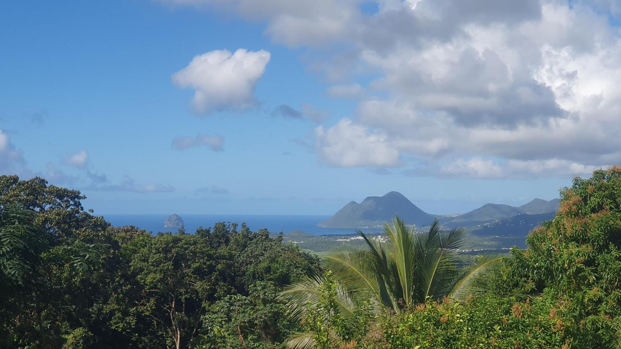 Villa Les Mahoganys Riviere-Salee Bagian luar foto