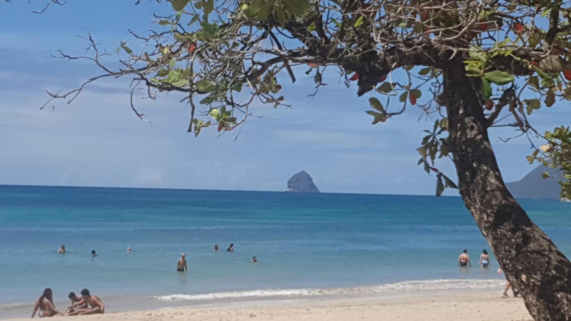 Villa Les Mahoganys Riviere-Salee Bagian luar foto