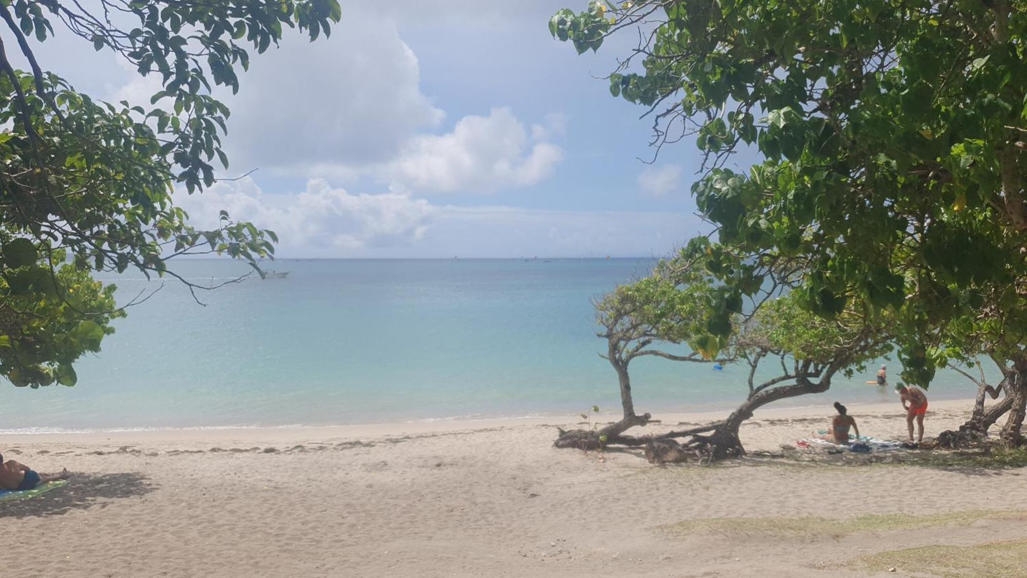 Villa Les Mahoganys Riviere-Salee Bagian luar foto